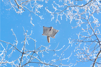 『第8回北海道撮影ポイントランキング年間グランプリ』開催！4,020点の中からノミネート作品全155点を展示