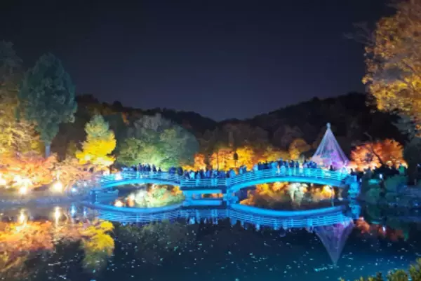 「東京・町田市で「来て・見て・体験する」秋のイベント開催！紅葉ライトアップやキッチンカーラリーを体験しよう」の画像