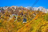 「立山黒部アルペンルート、9月から始まる紅葉シーズンを お得に楽しめる「秋旅早割WEBきっぷ」好評販売中！ 秋旅グルメフェアも9月1日(火)よりスタート」の画像2