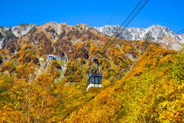 「立山黒部アルペンルート、9月から始まる紅葉シーズンを お得に楽しめる「秋旅早割WEBきっぷ」好評販売中！ 秋旅グルメフェアも9月1日(火)よりスタート」の画像