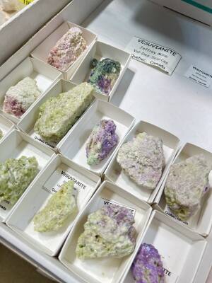 流行や価格にとらわれず、“今の自分にしっくりくる宝石”を選ぶ時間　「ミネラルキャピタル2026in東京」5月1日より開催