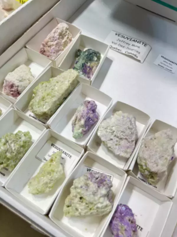 「流行や価格にとらわれず、“今の自分にしっくりくる宝石”を選ぶ時間　「ミネラルキャピタル2026in東京」5月1日より開催」の画像