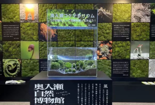 奥入瀬渓流の魅力を東京で体感　「奥入瀬移動博物館」をモンベル御徒町店で開催