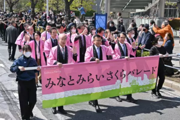 「みなとみらい21さくらフェスタ2026　3月21日(土)～3月29日(日)開催」の画像