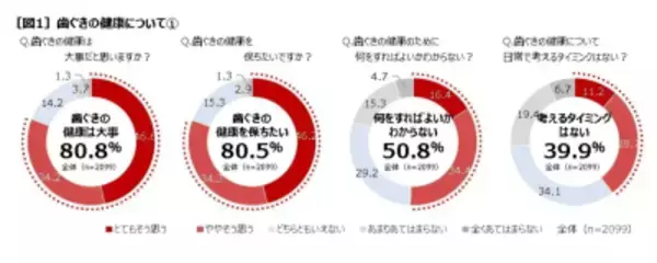 「「歯づまりーず」第二弾WEB CM９月末に公開決定！追加メンバー募集オーディション開催」の画像