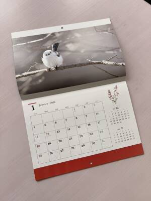 【500冊限定】 北海道で撮影した「シマエナガカレンダー2026」を2025年10月10日販売開始！13枚のかわいいシマエナガが勢ぞろい