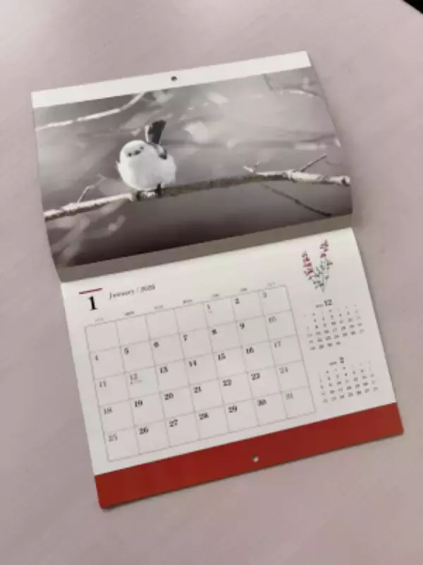 「【500冊限定】 北海道で撮影した「シマエナガカレンダー2026」を2025年10月10日販売開始！13枚のかわいいシマエナガが勢ぞろい」の画像