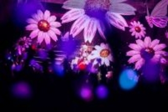 バーチャルシンガー・ヰ世界情緒、衣装と記憶が交差する初の2DAYS LIVEを完遂！歌と創作が共鳴した熱狂の2日間のオフィシャルレポートが到着！