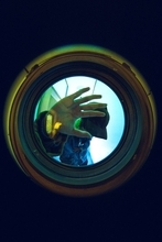 Eve、ヨルシカのsuisをゲストボーカルに迎えたTVアニメ「とんがり帽子のアトリエ」OPテーマ「風のアンセム feat. suis from ヨルシカ」を書き下ろし！