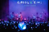「やなぎなぎ ライブツアー 2026「Green Light」国内公演完走！東京公演のオフィシャルレポートが到着！」の画像1