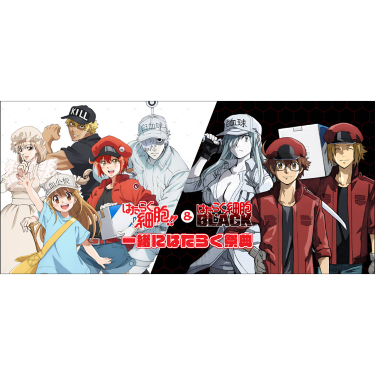 はたらく細胞 はたらく細胞black 合同イベント 一緒にはたらく祭典 開催決定 2021年1月18日 エキサイトニュース