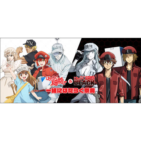 はたらく細胞 はたらく細胞black 合同イベント 一緒にはたらく祭典 開催決定 21年1月18日 エキサイトニュース