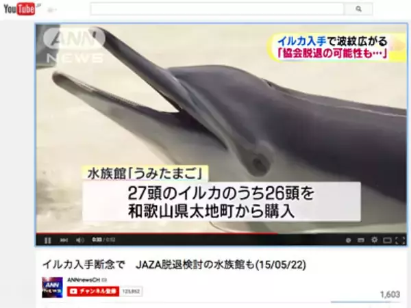 イルカ追い込み漁は残酷じゃない？ だったらテレビはなぜ漁の詳細を報道しないのか