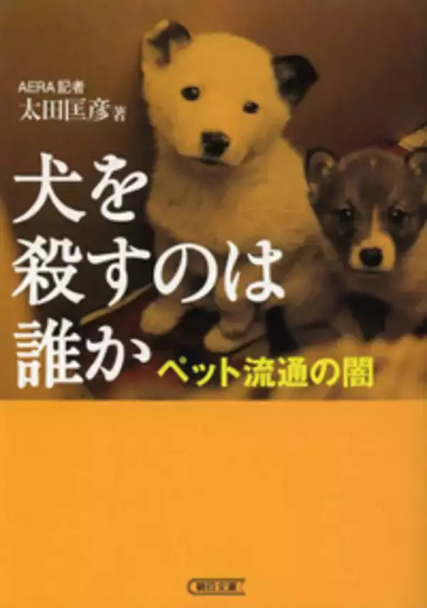 売れない犬は生きたまま冷蔵庫に...ペット業界の裏にある恐ろしい現実