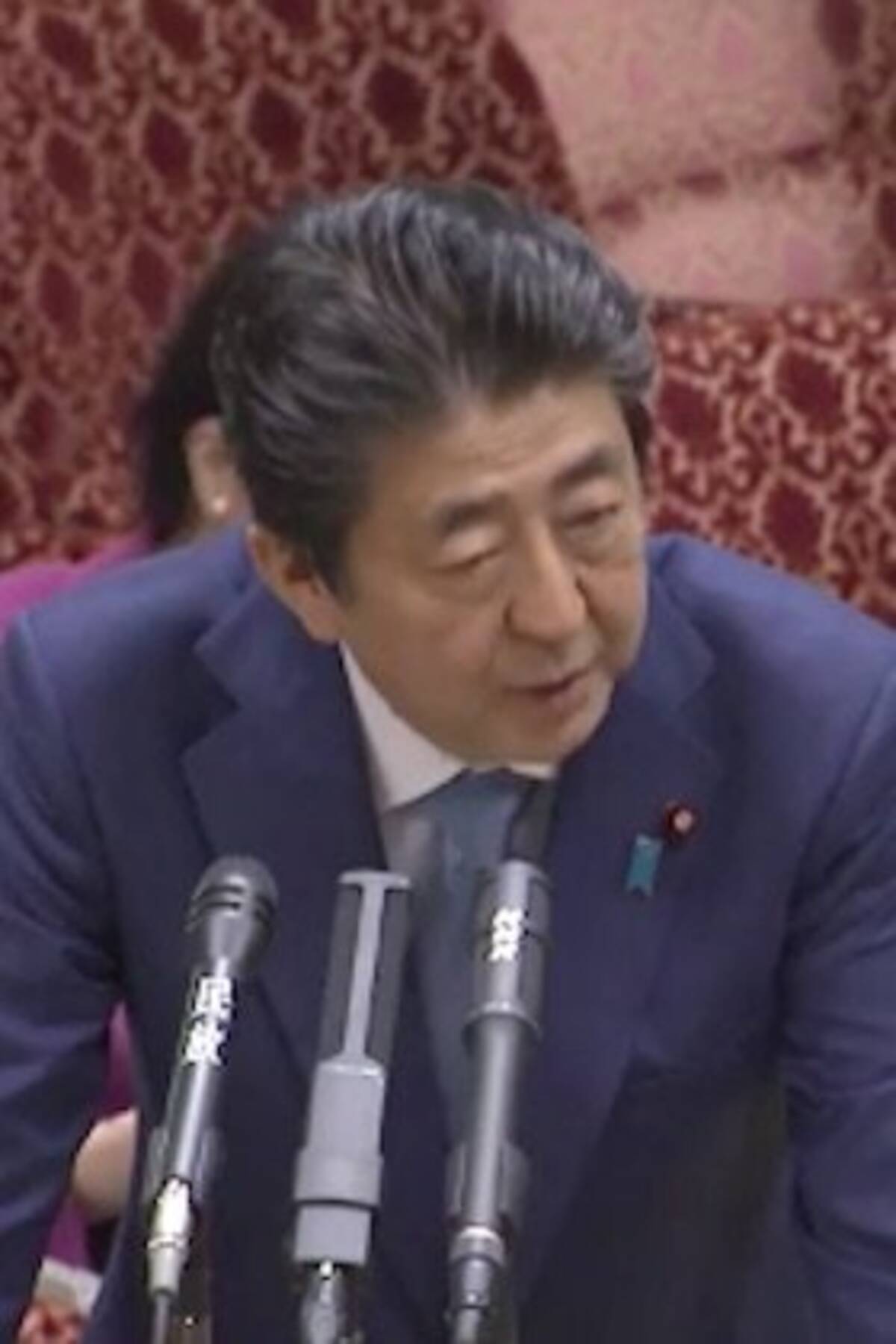 安倍首相の 共産党か ヤジはネトウヨの常套句 今年だけでヤジは27回 こんな下劣な総理大臣見たことない 19年11月10日 エキサイトニュース