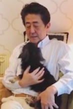 安倍首相がこの状況で“星野源とのコラボ動画”をインスタにアップも…コメント欄には国民から批判と窮状訴えが殺到