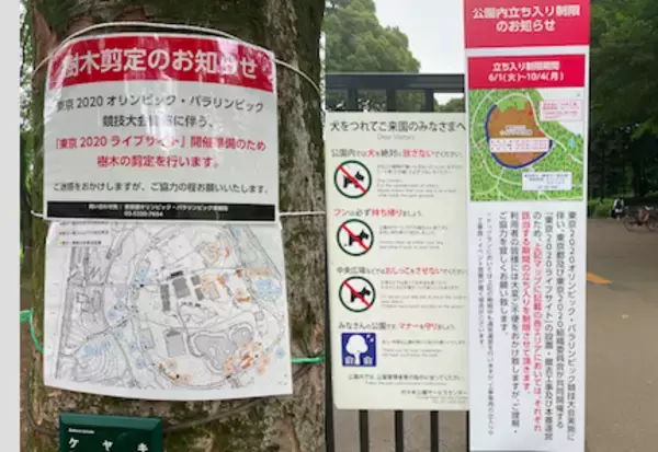 「東京五輪は本当に国民犠牲の実験場に…代々木公園では木々を剪定しパブリックビューイング会場を設営開始、しかも電通が巨額で落札」の画像