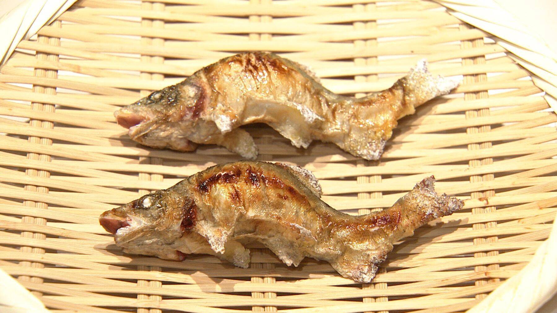 焦げ目が食欲をそそる"鮎の塩焼き"も...日本一の食品サンプル工場で発見！所さんも唸るスゴ技最前線