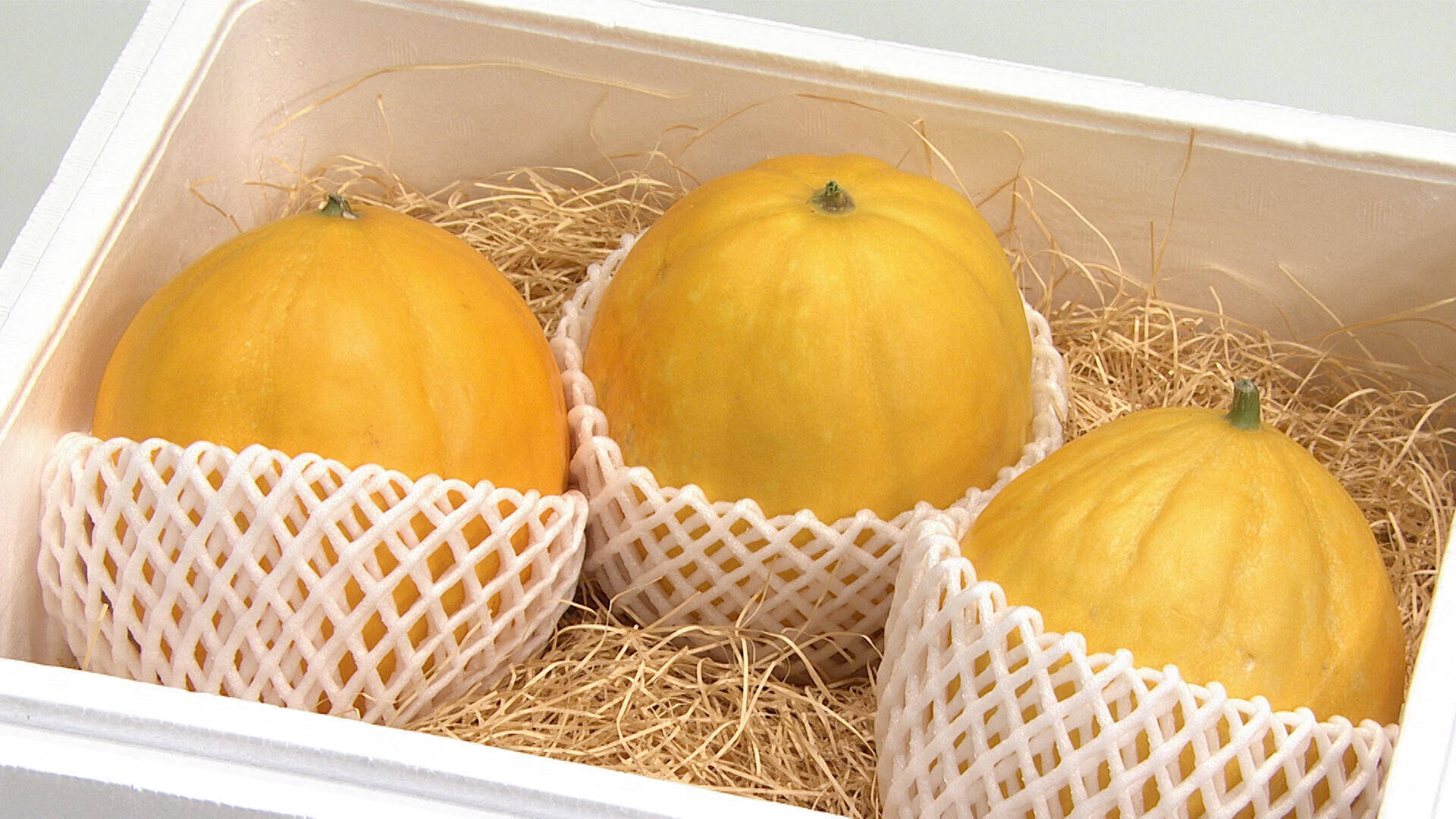 味はメロンで食感は梨!? あつこお姉さんも激推しの新品種に所さん「超ウマい!!」