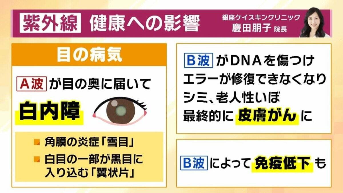 日焼け止め「基本的に全エリア２度塗り」「室内でも必要？」医師が教える正しい対策方法とは？　子どもや高齢者も“発がんリスク”上昇…5月から急増する紫外線で『光老化』のリスクも【解説】
