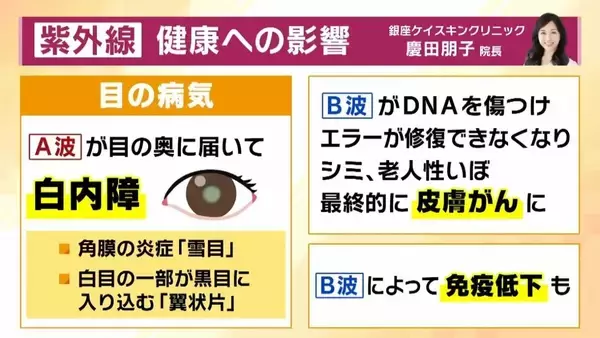 「日焼け止め「基本的に全エリア２度塗り」「室内でも必要？」医師が教える正しい対策方法とは？　子どもや高齢者も“発がんリスク”上昇…5月から急増する紫外線で『光老化』のリスクも【解説】」の画像