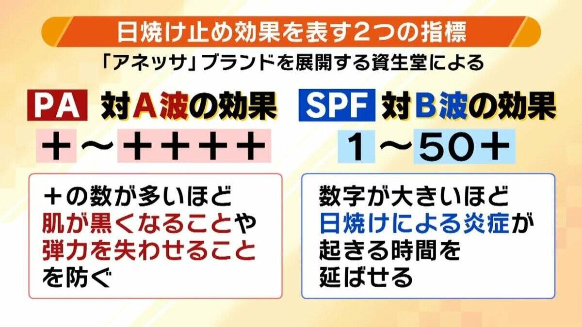 日焼け止め「基本的に全エリア２度塗り」「室内でも必要？」医師が教える正しい対策方法とは？　子どもや高齢者も“発がんリスク”上昇…5月から急増する紫外線で『光老化』のリスクも【解説】