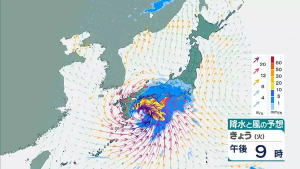 「【台風6号】３日明け方から朝に近畿地方に最接近か　進路によっては警報級の大雨のおそれも…奈良・和歌山・徳島などで「線状降水帯半日前予測」発表　和歌山で「最大３００ミリ」予想【雨と風の最新シミュレーション】」の画像