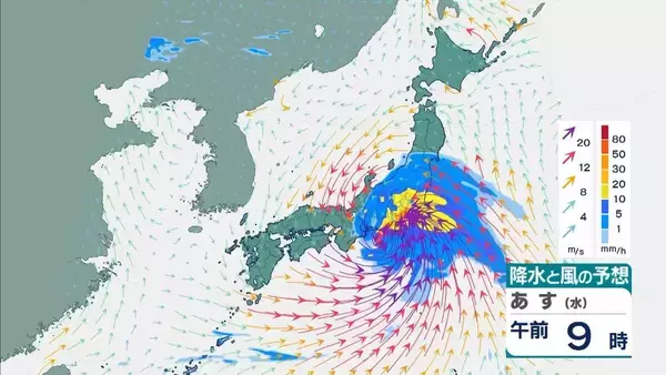 「【台風6号】３日明け方から朝に近畿地方に最接近か　進路によっては警報級の大雨のおそれも…奈良・和歌山・徳島などで「線状降水帯半日前予測」発表　和歌山で「最大３００ミリ」予想【雨と風の最新シミュレーション】」の画像