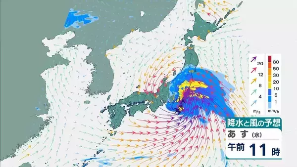 「【台風6号】３日明け方から朝に近畿地方に最接近か　進路によっては警報級の大雨のおそれも…奈良・和歌山・徳島などで「線状降水帯半日前予測」発表　和歌山で「最大３００ミリ」予想【雨と風の最新シミュレーション】」の画像