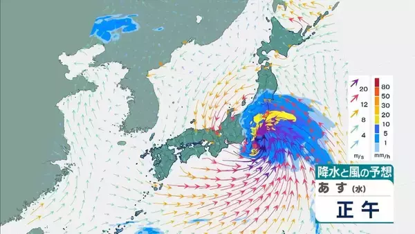 「【台風6号】３日明け方から朝に近畿地方に最接近か　進路によっては警報級の大雨のおそれも…奈良・和歌山・徳島などで「線状降水帯半日前予測」発表　和歌山で「最大３００ミリ」予想【雨と風の最新シミュレーション】」の画像