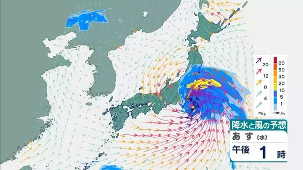 「【台風6号】３日明け方から朝に近畿地方に最接近か　進路によっては警報級の大雨のおそれも…奈良・和歌山・徳島などで「線状降水帯半日前予測」発表　和歌山で「最大３００ミリ」予想【雨と風の最新シミュレーション】」の画像