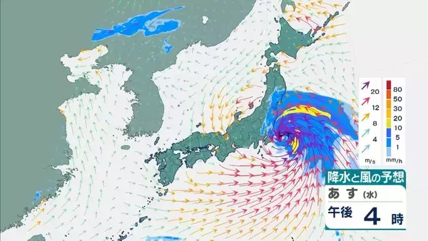 「【台風6号】３日明け方から朝に近畿地方に最接近か　進路によっては警報級の大雨のおそれも…奈良・和歌山・徳島などで「線状降水帯半日前予測」発表　和歌山で「最大３００ミリ」予想【雨と風の最新シミュレーション】」の画像