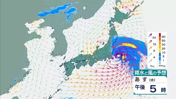 「【台風6号】３日明け方から朝に近畿地方に最接近か　進路によっては警報級の大雨のおそれも…奈良・和歌山・徳島などで「線状降水帯半日前予測」発表　和歌山で「最大３００ミリ」予想【雨と風の最新シミュレーション】」の画像