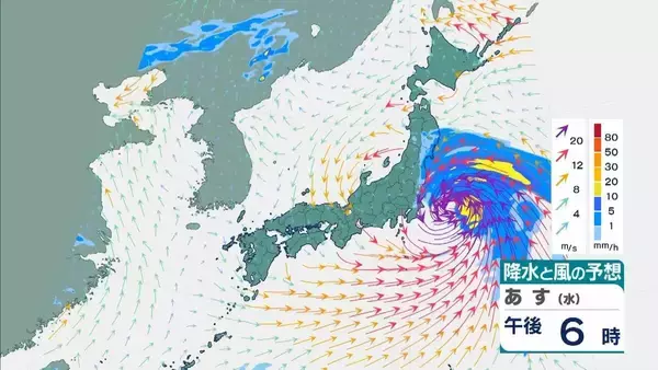 「【台風6号】３日明け方から朝に近畿地方に最接近か　進路によっては警報級の大雨のおそれも…奈良・和歌山・徳島などで「線状降水帯半日前予測」発表　和歌山で「最大３００ミリ」予想【雨と風の最新シミュレーション】」の画像