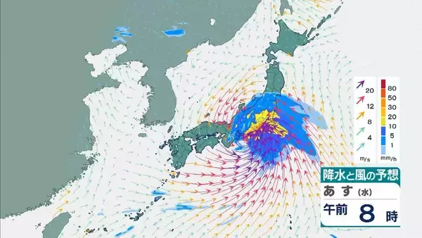 「【台風6号】３日明け方から朝に近畿地方に最接近か　進路によっては警報級の大雨のおそれも…奈良・和歌山・徳島などで「線状降水帯半日前予測」発表　和歌山で「最大３００ミリ」予想【雨と風の最新シミュレーション】」の画像