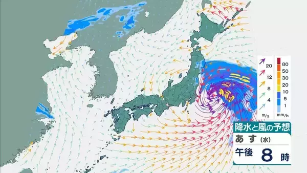 「【台風6号】３日明け方から朝に近畿地方に最接近か　進路によっては警報級の大雨のおそれも…奈良・和歌山・徳島などで「線状降水帯半日前予測」発表　和歌山で「最大３００ミリ」予想【雨と風の最新シミュレーション】」の画像
