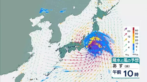 「【台風6号】３日明け方から朝に近畿地方に最接近か　進路によっては警報級の大雨のおそれも…奈良・和歌山・徳島などで「線状降水帯半日前予測」発表　和歌山で「最大３００ミリ」予想【雨と風の最新シミュレーション】」の画像