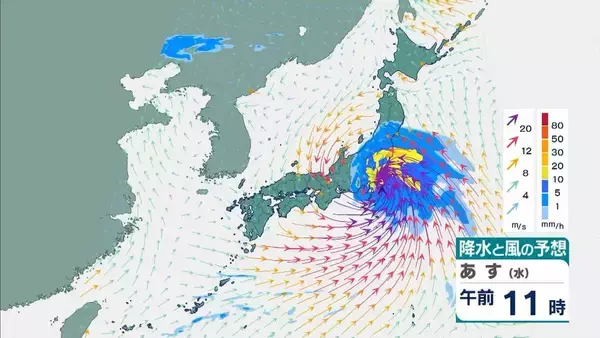 「【台風6号】３日明け方から朝に近畿地方に最接近か　進路によっては警報級の大雨のおそれも…奈良・和歌山・徳島などで「線状降水帯半日前予測」発表　和歌山で「最大３００ミリ」予想【雨と風の最新シミュレーション】」の画像