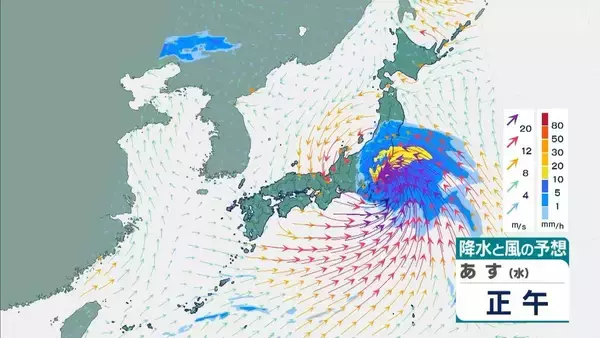 「【台風6号】３日明け方から朝に近畿地方に最接近か　進路によっては警報級の大雨のおそれも…奈良・和歌山・徳島などで「線状降水帯半日前予測」発表　和歌山で「最大３００ミリ」予想【雨と風の最新シミュレーション】」の画像