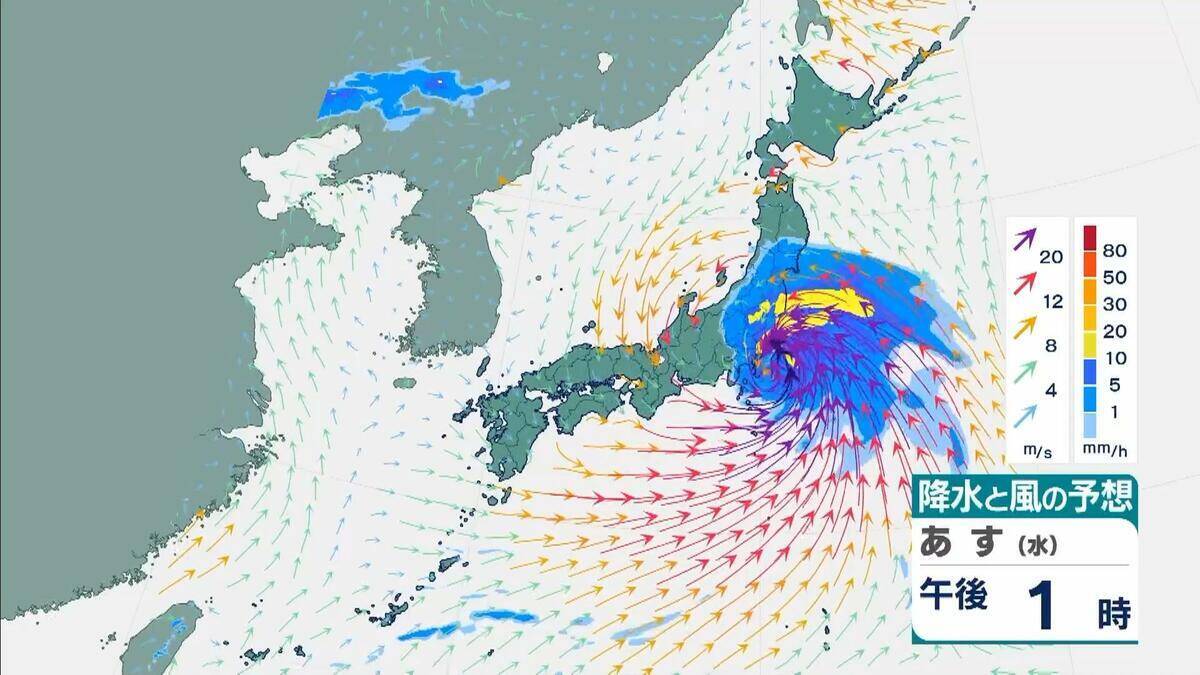 【台風6号】３日明け方から朝に近畿地方に最も接近か　進路によっては警報級の大雨のおそれも…和歌山・徳島などで「線状降水帯半日前予測」発表　奈良・和歌山・徳島で最大２５０ミリ予想【雨と風の最新シミュレーション】