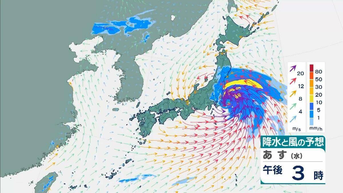 【台風6号】３日明け方から朝に近畿地方に最も接近か　進路によっては警報級の大雨のおそれも…和歌山・徳島などで「線状降水帯半日前予測」発表　奈良・和歌山・徳島で最大２５０ミリ予想【雨と風の最新シミュレーション】