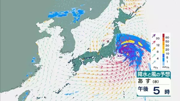 「【台風6号】３日明け方から朝に近畿地方に最接近か　進路によっては警報級の大雨のおそれも…奈良・和歌山・徳島などで「線状降水帯半日前予測」発表　和歌山で「最大３００ミリ」予想【雨と風の最新シミュレーション】」の画像
