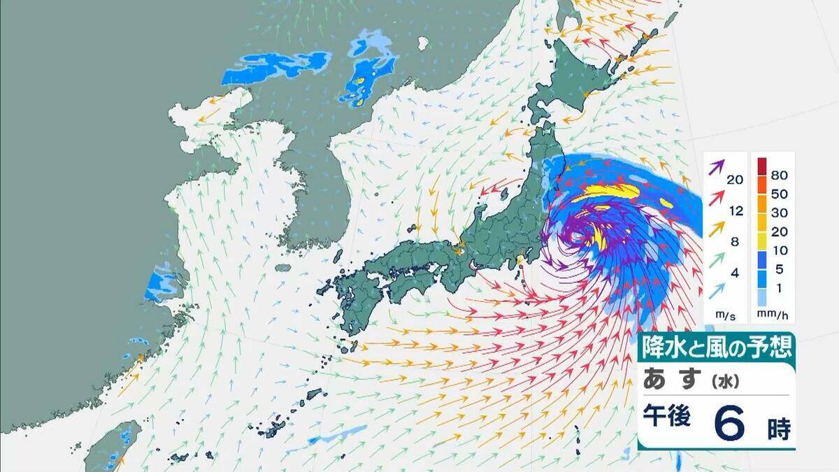 【台風6号】３日明け方から朝に近畿地方に最も接近か　進路によっては警報級の大雨のおそれも…和歌山・徳島などで「線状降水帯半日前予測」発表　奈良・和歌山・徳島で最大２５０ミリ予想【雨と風の最新シミュレーション】