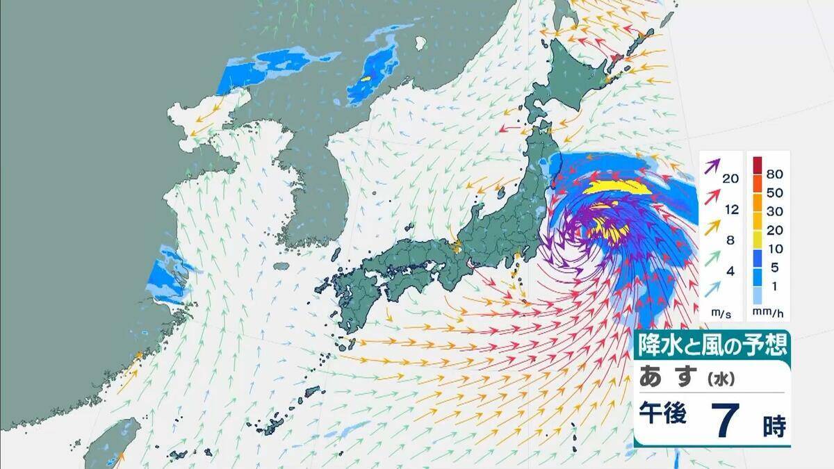 【台風6号】３日明け方から朝に近畿地方に最も接近か　進路によっては警報級の大雨のおそれも…和歌山・徳島などで「線状降水帯半日前予測」発表　奈良・和歌山・徳島で最大２５０ミリ予想【雨と風の最新シミュレーション】