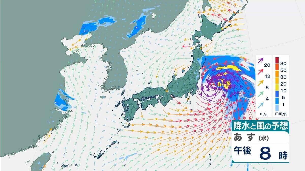 【台風6号】３日明け方から朝に近畿地方に最も接近か　進路によっては警報級の大雨のおそれも…和歌山・徳島などで「線状降水帯半日前予測」発表　奈良・和歌山・徳島で最大２５０ミリ予想【雨と風の最新シミュレーション】