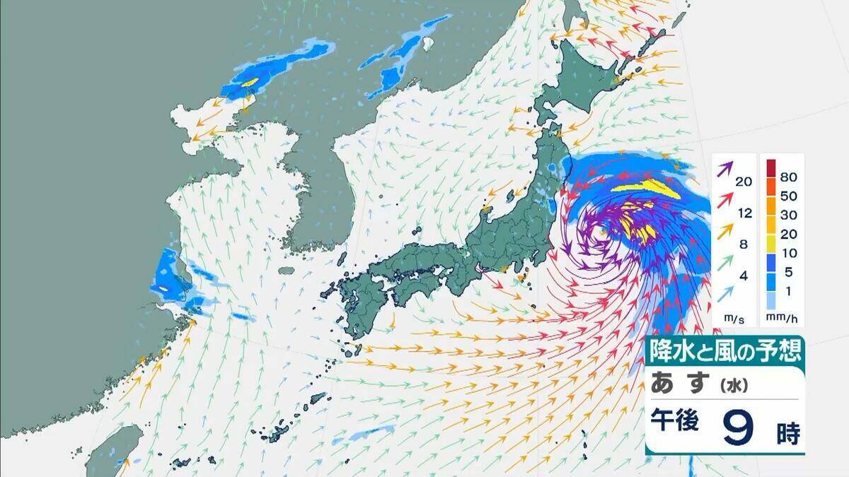 【台風6号】３日明け方から朝に近畿地方に最も接近か　進路によっては警報級の大雨のおそれも…和歌山・徳島などで「線状降水帯半日前予測」発表　奈良・和歌山・徳島で最大２５０ミリ予想【雨と風の最新シミュレーション】