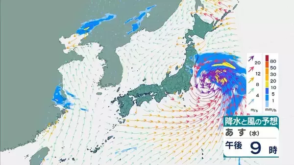 「【台風6号】３日明け方から朝に近畿地方に最接近か　進路によっては警報級の大雨のおそれも…奈良・和歌山・徳島などで「線状降水帯半日前予測」発表　和歌山で「最大３００ミリ」予想【雨と風の最新シミュレーション】」の画像