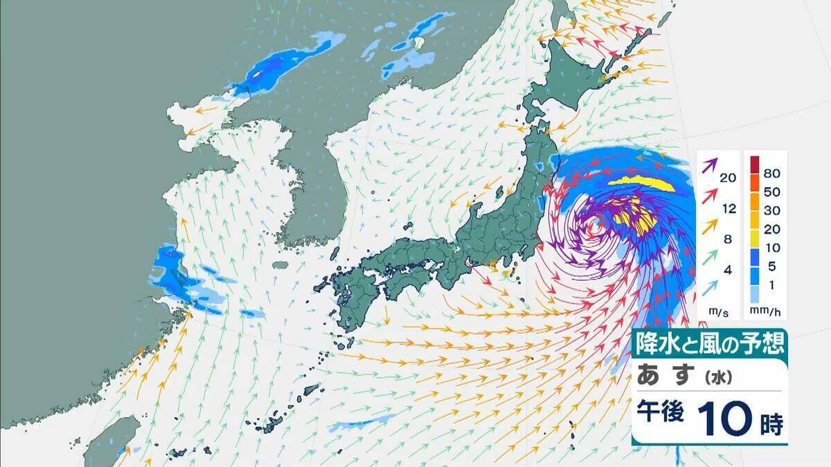 【台風6号】３日明け方から朝に近畿地方に最も接近か　進路によっては警報級の大雨のおそれも…和歌山・徳島などで「線状降水帯半日前予測」発表　奈良・和歌山・徳島で最大２５０ミリ予想【雨と風の最新シミュレーション】