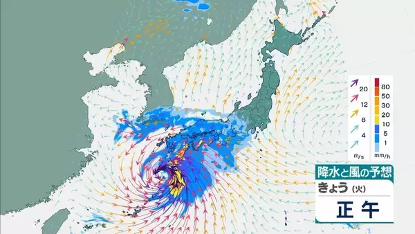 「【台風6号】３日明け方から朝に近畿地方に最接近か　進路によっては警報級の大雨のおそれも…奈良・和歌山・徳島などで「線状降水帯半日前予測」発表　和歌山で「最大３００ミリ」予想【雨と風の最新シミュレーション】」の画像