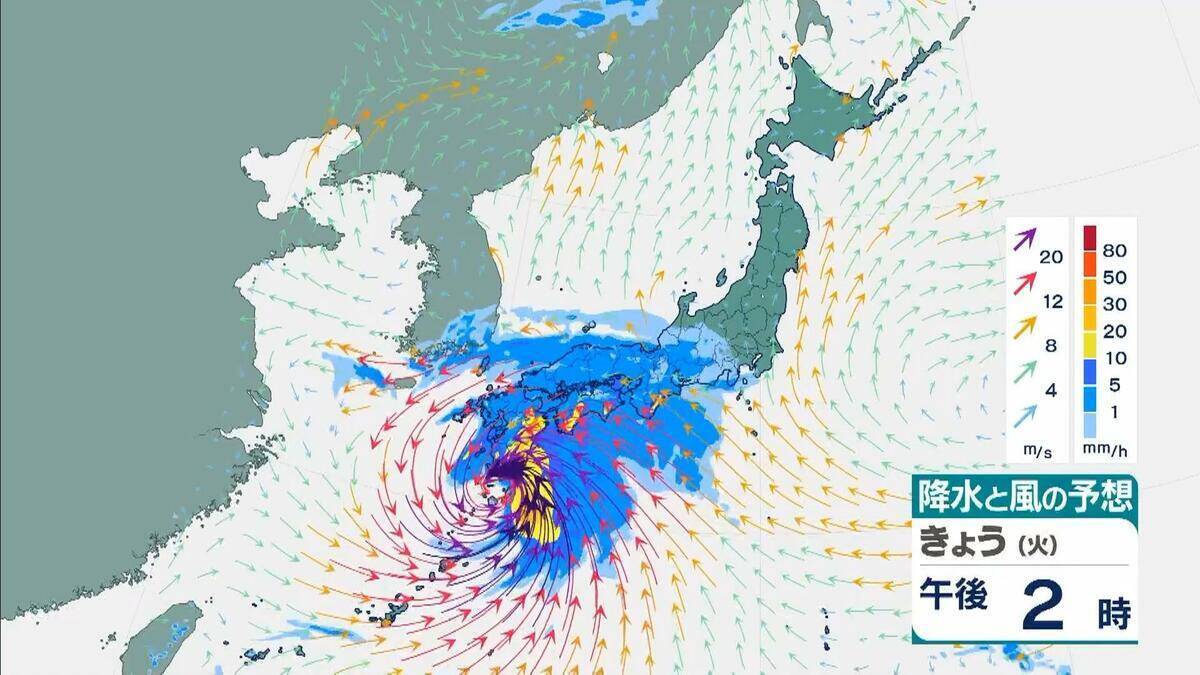 【台風6号】３日明け方から朝に近畿地方に最も接近か　進路によっては警報級の大雨のおそれも…和歌山・徳島などで「線状降水帯半日前予測」発表　奈良・和歌山・徳島で最大２５０ミリ予想【雨と風の最新シミュレーション】